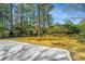 Expansive backyard with concrete patio, lush lawn, and mature trees at 715 Old Golf Rd, Summerville, SC 29483