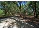 A long driveway leads through a canopy of mature trees and lush foliage, offering a private entrance at 8869 Marsh Aire Ln, Edisto Island, SC 29438