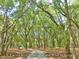 A winding driveway and mature trees highlight the landscape of this spacious 1.3-acre property leading to the home at 8869 Marsh Aire Ln, Edisto Island, SC 29438