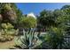 Pool surrounded by lush landscaping; the multi-story home can be seen in the background at 8869 Marsh Aire Ln, Edisto Island, SC 29438