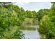 Scenic view of pond surrounded by trees at 121 Jakes Ln, Mount Pleasant, SC 29464