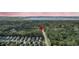 Panoramic aerial view of home surrounded by lush greenery, waterfront, and neighborhood at 1308 Lieben Rd, Mount Pleasant, SC 29466