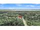 Scenic aerial view of property nestled amongst trees with glimpse of ocean in background at 1308 Lieben Rd, Mount Pleasant, SC 29466