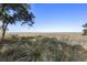 Picturesque marsh view with native grasses and tranquil waters under a clear sky at 161 Marsh Hawk Ln, Kiawah Island, SC 29455