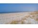 Calm beach view along a long stretch of sand and dunes on a foggy day at 3408 Palmetto Blvd, Edisto Island, SC 29438