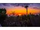 Scenic sunset through trees and plants on the coast with colorful skies at 3408 Palmetto Blvd, Edisto Island, SC 29438