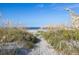 Scenic beach view framed by lush sea grass, offering a tranquil escape with blue skies above at 10 Ocean Point Dr, Isle of Palms, SC 29451