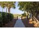 Pathway through lush greenery leads to the beach, offering a serene and natural escape at 10 Ocean Point Dr, Isle of Palms, SC 29451