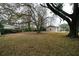 Expansive backyard featuring mature trees, a mix of green grass and leaves, and a view of the home's exterior at 1075 Quail Dr, Charleston, SC 29412