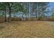 Spacious backyard featuring a wooden fence, mature trees, and a storage shed at 111 Kennington Dr, Goose Creek, SC 29445