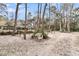 Expansive backyard featuring trees, a horse shelter, and ample open space at 135 Rapture Ln, Wando, SC 29492