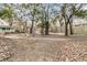 Expansive backyard with mature trees, offering privacy and space for outdoor activities at 135 Rapture Ln, Wando, SC 29492