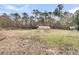 Pasture with a covered shelter, tall trees, and a lush green field at 135 Rapture Ln, Wando, SC 29492