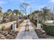 Long driveway featuring palm trees and manicured landscaping, leading to a grand estate at 151 Brailsford St, Charleston, SC 29492