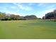 A nice view of the golf course's putting green at 151 Brailsford St, Charleston, SC 29492