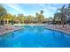 Spacious outdoor pool area with lush palm trees and comfortable lounge seating at 151 Brailsford St, Charleston, SC 29492