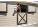 Close-up of a handsome brown horse peering from its well-maintained stall at 2932 Old Drake Dr, Seabrook Island, SC 29455