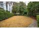 A large lawn surrounded by a garden and shrubs at 67 Legare St # 305, Charleston, SC 29401
