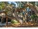 Exterior view of a home among mature trees and Spanish moss at 796 Summerwind Cir, Edisto Beach, SC 29438