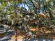 Exterior of a home nestled among mature trees and Spanish moss at 796 Summerwind Cir, Edisto Beach, SC 29438