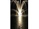 Night view of a illuminated water fountain in a community at 236 River Martin Ct, Summerville, SC 29483