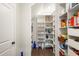 Walk-in pantry has white shelving with ample storage space for food and supplies at 236 River Martin Ct, Summerville, SC 29483