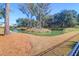 Scenic backyard view featuring a serene pond surrounded by lush trees and a well-maintained pine straw landscape at 2613 Hatch Dr, Johns Island, SC 29455