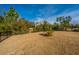 Spacious backyard featuring grass, mature trees, and fencing at 3034 Cross Vine Ln, Summerville, SC 29483