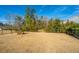 Backyard featuring black metal fencing and mature trees at 3034 Cross Vine Ln, Summerville, SC 29483