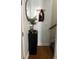 Inviting hallway with a black storage cabinet and a decorative mirror above it at 527 Travelers Blvd, Summerville, SC 29485