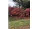 Lush pink azalea bushes create vibrant landscaping on the property at 1216 Eastwood Ave, Hanahan, SC 29410