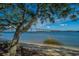 Scenic waterfront view featuring a mature tree, sandy beach and impressive bridge over calm, blue water at 130 River Landing Dr # 7123, Charleston, SC 29492