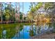 Scenic view of the still pond, reflecting the surrounding trees and clear blue sky at 1784 Omni Blvd, Mount Pleasant, SC 29466
