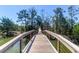 A charming wooden walkway meanders through a wooded landscape at 1784 Omni Blvd, Mount Pleasant, SC 29466