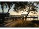 Beautiful view of a wooden dock with a covered structure at the end, boats, and the sun shining through trees at 217 King George St, Daniel Island, SC 29492