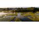 Scenic marsh landscape with tranquil water, showcasing the natural beauty surrounding the property at 217 King George St, Daniel Island, SC 29492