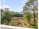 Marsh view with a privacy fence surrounding the perimeter of the property at 217 King George St, Daniel Island, SC 29492