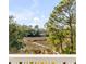 This house's view is lush and wild with a waterfront scene that adds an element of nature at 217 King George St, Daniel Island, SC 29492