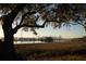 Picturesque waterfront with a dock, boats and industrial cranes in the distance framed by an old oak tree with Spanish moss at 217 King George St, Daniel Island, SC 29492