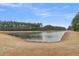 Scenic view of a serene pond surrounded by trees, enhancing the property's appeal at 455 Hidden Meadow Ln, Summerville, SC 29486