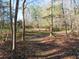 Picturesque land with mature trees, offering a peaceful and natural setting at 5150 Trump # 1904, North Charleston, SC 29420