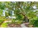 Front yard featuring a mature tree with a swing set, a gravel path, and lush landscaping at 727 Adluh St, Mount Pleasant, SC 29464