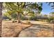 A tranquil walking path bordered by lush landscaping and mature trees at 129 Sabal Ct, Summerville, SC 29483