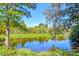 Scenic view of the pond with blue skies, lush green vegetation, and trees draped in Spanish moss at 1756 Indigo Island Dr, Hanahan, SC 29410