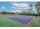 A glimpse of the community tennis courts surrounded by lush greenery, offering a private recreational space at 213 Crossandra Ave, Summerville, SC 29483