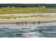Horseback riders on the beach in a coastal community at 3619 Loggerhead Ct, Seabrook Island, SC 29455