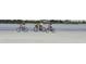 Three women ride bikes along the sandy beach near the homes in the community at 3619 Loggerhead Ct, Seabrook Island, SC 29455