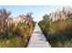 Picturesque wooden walkway through tall grassy foliage at 3619 Loggerhead Ct, Seabrook Island, SC 29455