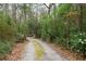 Picturesque private driveway lined with mature trees leading to a secluded property at 415 W Carolina Ave, Summerville, SC 29483