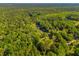 Expansive aerial view showcases the vast wooded landscape with a pond and a small home at 4304 River Rd, Johns Island, SC 29455